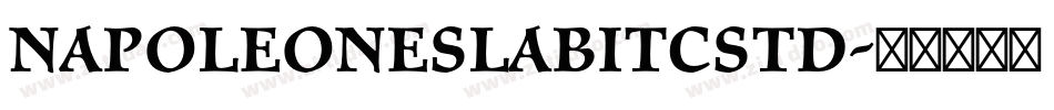 NapoleoneSlabITCStd字体转换