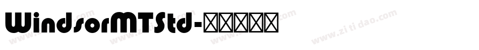 WindsorMTStd字体转换