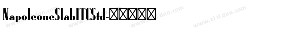 NapoleoneSlabITCStd字体转换