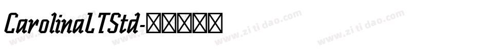CarolinaLTStd字体转换
