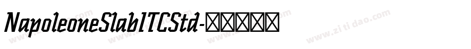 NapoleoneSlabITCStd字体转换