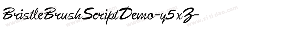 BristleBrushScriptDemo-y5xZ字体转换