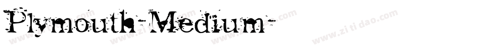 Plymouth-Medium字体转换