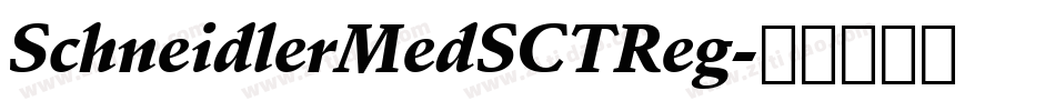 SchneidlerMedSCTReg字体转换