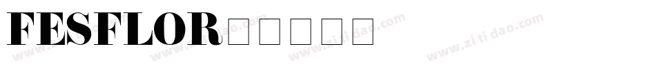 FES_FLOR字体转换