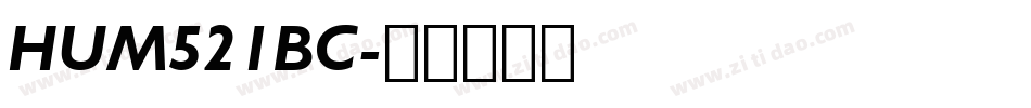 HUM521BC字体转换