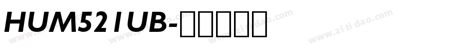 HUM521UB字体转换