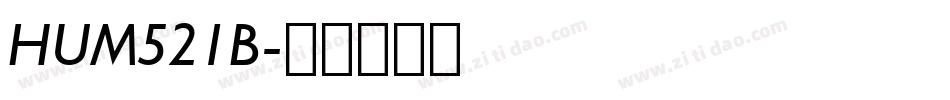 HUM521B字体转换