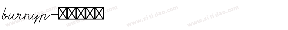 burnyp字体转换