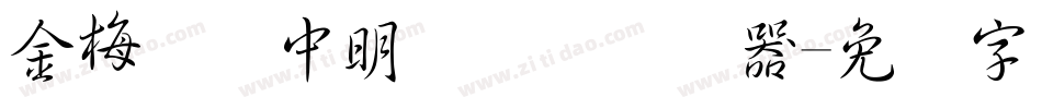 金梅简体中明国际码转换器字体转换