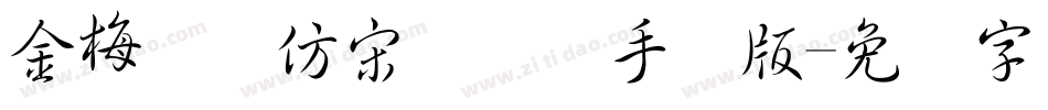 金梅简体仿宋国际码手机版字体转换