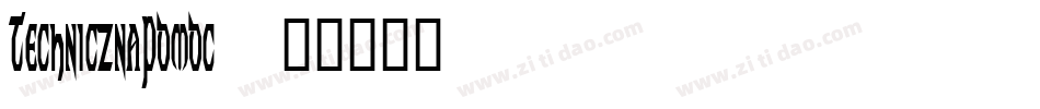 TechnicznaPomoc字体转换
