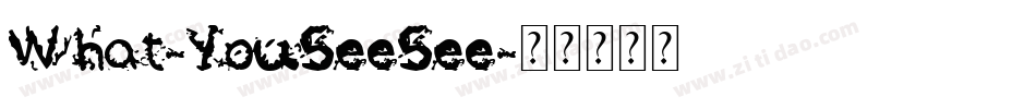 What-YouSeeSee字体转换