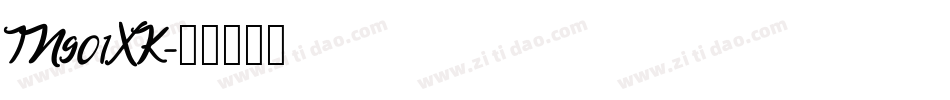 IN901XK字体转换