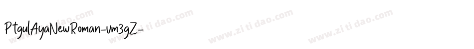 PtgulAyaNewRoman-vm3gZ字体转换