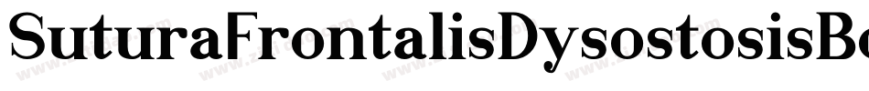 SuturaFrontalisDysostosisBold-wYx字体转换 SuturaFrontalisDysostosisBold-wYx字体转换