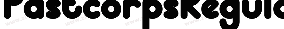 PastcorpsRegular-wr3z字体转换 PastcorpsRegular-wr3z字体转换