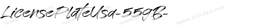 LicensePlateUsa-55gB字体转换