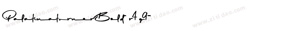 PalatinaturnerBold-r4g9字体转换 PalatinaturnerBold-r4g9字体转换