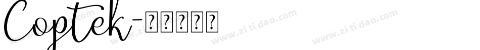 Coptek字体转换
