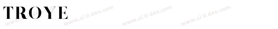 Troye字体转换