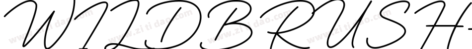 WILDBRUSH字体转换