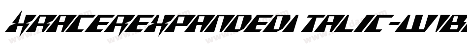 XRacerExpandedItalic-w1BG8字体转换