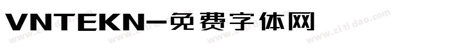 VNTEKN字体转换