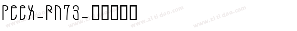 Peex-Rn73字体转换