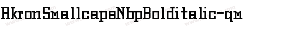 AkronSmallcapsNbpBolditalic-qmgq字体转换