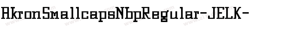 AkronSmallcapsNbpRegular-JELK字体转换