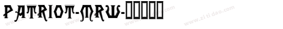 Patriot-MRw字体转换 Patriot-MRw字体转换
