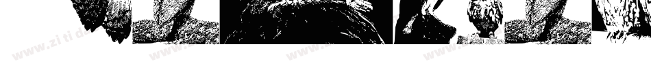 Aparliamentofowls-r3pA字体转换