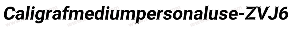 Caligrafmediumpersonaluse-ZVJ6J字体转换