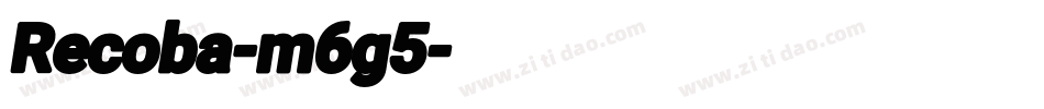 Recoba-m6g5字体转换