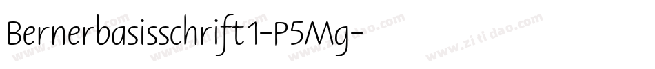Bernerbasisschrift1-P5Mg字体转换