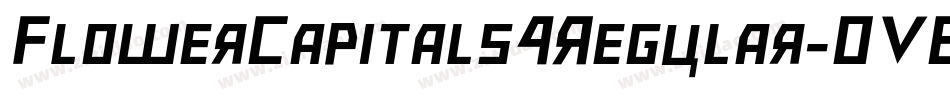 FlowerCapitals4Regular-OVEEo字体转换