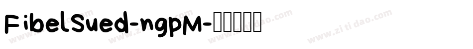 FibelSued-ngpM字体转换