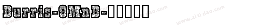 Burris-9MnB字体转换