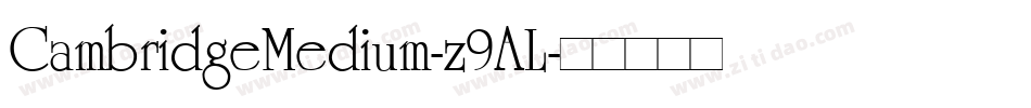 CambridgeMedium-z9AL字体转换