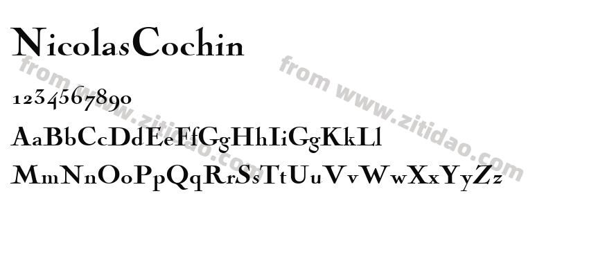 NicolasCochin字体预览